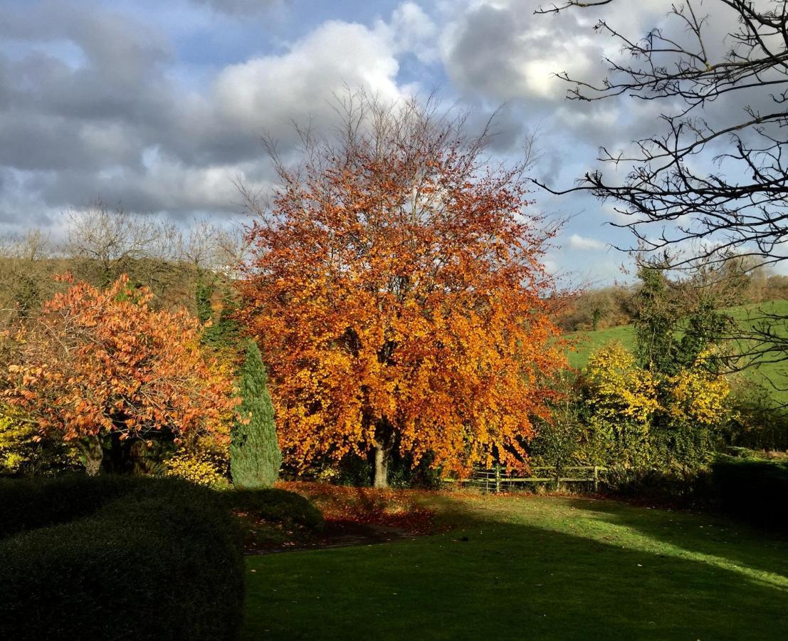Valley View Farm, Batcombe Panzió Shepton Mallet Kültér fotó