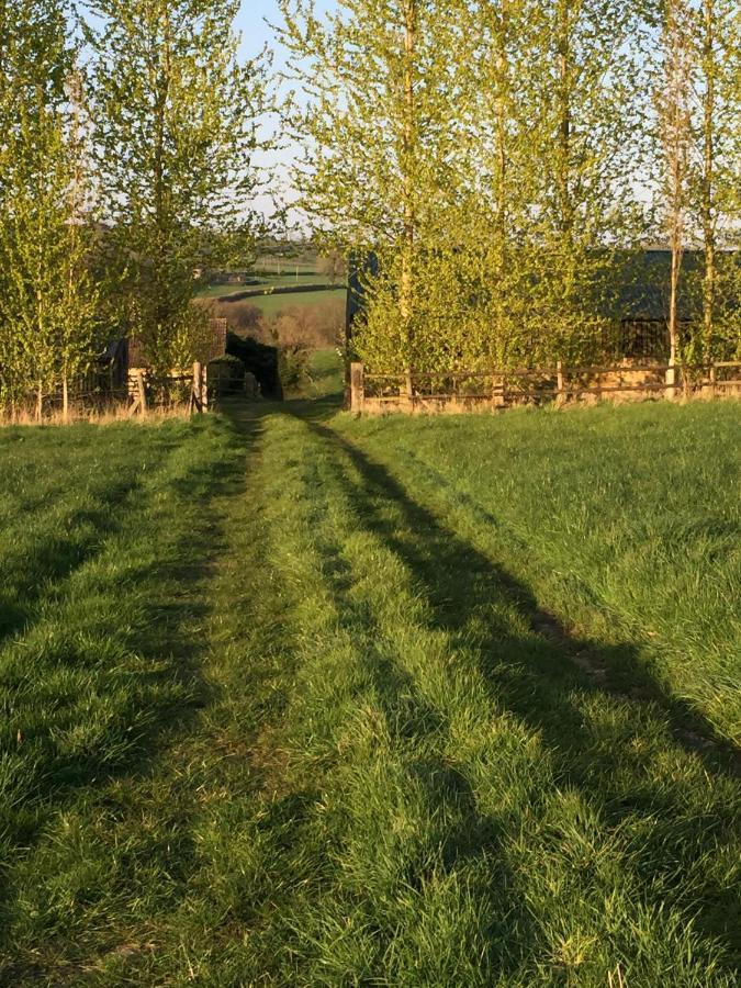 Valley View Farm, Batcombe Panzió Shepton Mallet Kültér fotó
